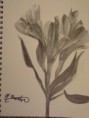 /album/prints1/a20120820-215136-jpg/