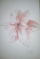 /album/photo-gallery-art-4-sale/a20130508-120407-1-jpg1/