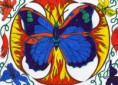 /album/art-for-sale/butterfly-jpg1/